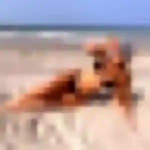 Ameline, fille de 33 ans propose rencontre adulte à Sainte-Sigolène