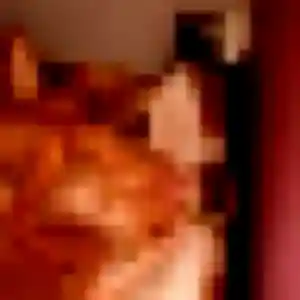 Photo de Dorothee à Souillac (34 ans) - rencontre adulte anonyme