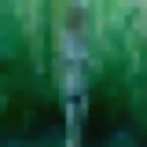 Contacte Lamia, 35 ans à Tarascon-sur-Ariège en privé