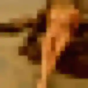 Helene (24 ans) à Tournon-sur-Rhône cherche un rencontre adulte maintenant