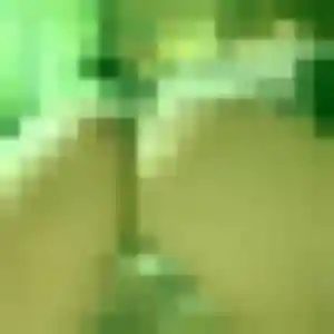 Contacte Paloma, 36 ans à Trévoux gratuitement