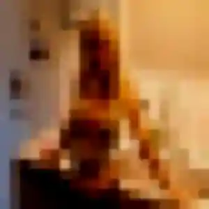 Photo exclusive de Olympe, 41 ans à Varennes-sur-Allier - plan discret