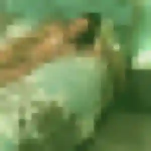 Karima, femme de 31 ans propose rencontre adulte à Vichy